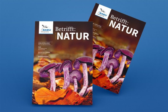 Nabu-magazin Betrifft Natur Titel-grafik_